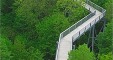 Sentier de découverte de la nature Skywalk Allgäu à Center Parcs Park Allgäu