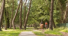 Center Parcs Excursion: Promenade à cheval à Center Parcs Park Allgäu