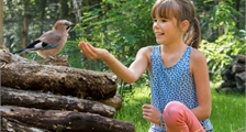 A la découverte des Oiseaux à Center Parcs Le Bois aux Daims