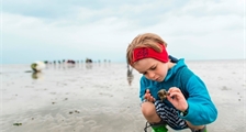 Academy: Promenade dans les Wadden à Center Parcs Park Nordseeküste