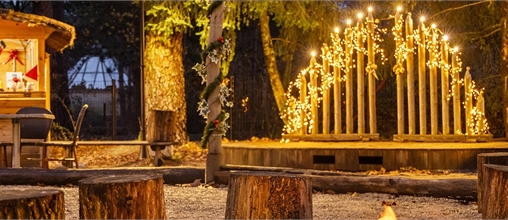 Center Parcs Les Hauts de Bruyères