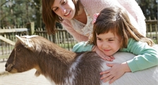 La ferme pour enfants à Center Parcs Les Hauts de Bruyères