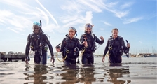 PADi-Open-Water-Kurs, 3-tägig in Center Parcs Port Zélande