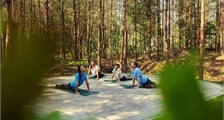 Workshop Gesund bewegen: Yoga für Anfänger in Center Parcs Terhills Resort
