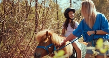 Ponyspaziergang in Center Parcs De Vossemeren
