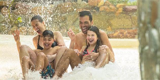 Verrückter Mittwoch