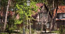 Ferienhaus im Wald 8 Personen BH8 in Efteling Bosrijk