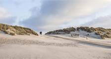 Umgebung Einrichtungen in Landal Ameland State