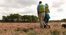 Wandern und Radfahren Einrichtungen in Landal De Hellendoornse Berg