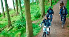 Wandern und Radfahren Einrichtungen in Kielder Waterside
