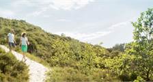 Wandern und Radfahren Aktivitäten in Landal Schuttersbos